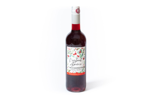 TROUSPINETTE L' INSTANT APERO EPINE NOIRE - ROUGE