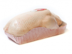 Canard entier prêt à cuire  à cuisiner